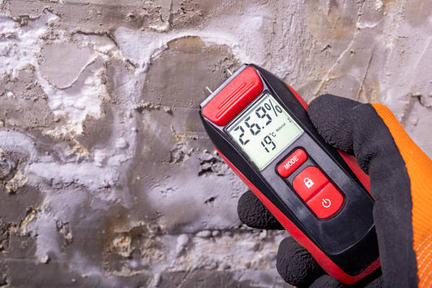 Best Mold Cleaning Services  in Wright City, MO