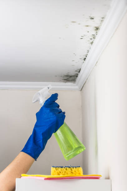 Best Crawl Space Mold Removal  in Wright City, MO